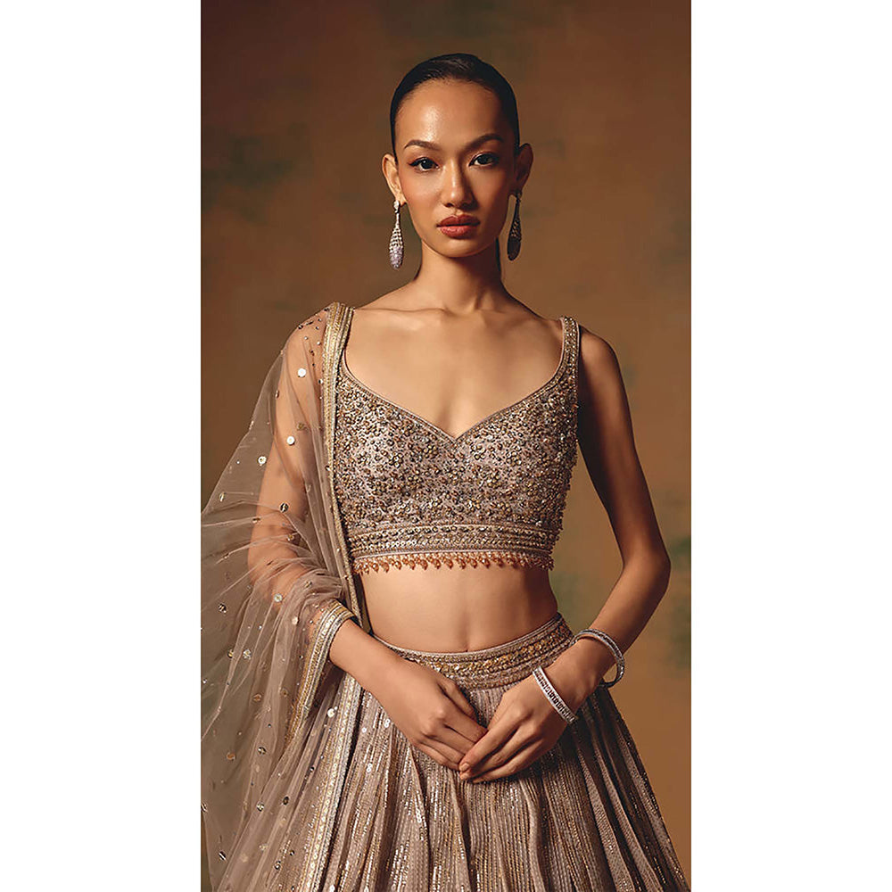 Basanti Kapde aur Koffee The Champagne Glow Lehenga with Blouse and Dupatta