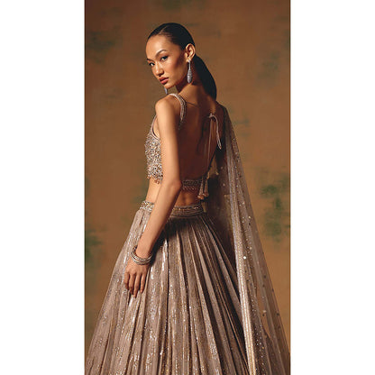 Basanti Kapde aur Koffee The Champagne Glow Lehenga with Blouse and Dupatta