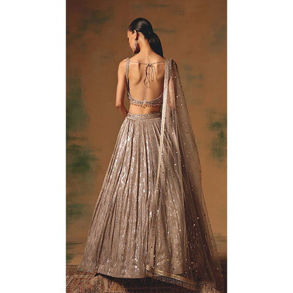 Basanti Kapde aur Koffee The Champagne Glow Lehenga with Blouse and Dupatta