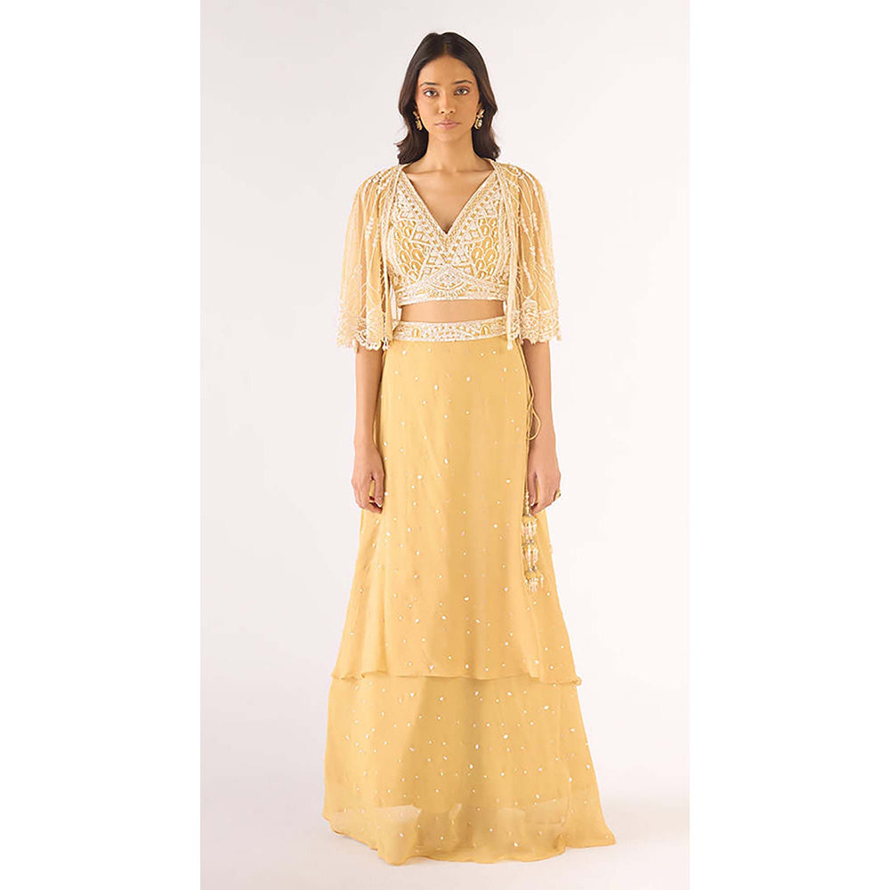 Basanti Kapde aur Koffee Gold Georgette Embroidered Lehenga with Blouse and Jacket