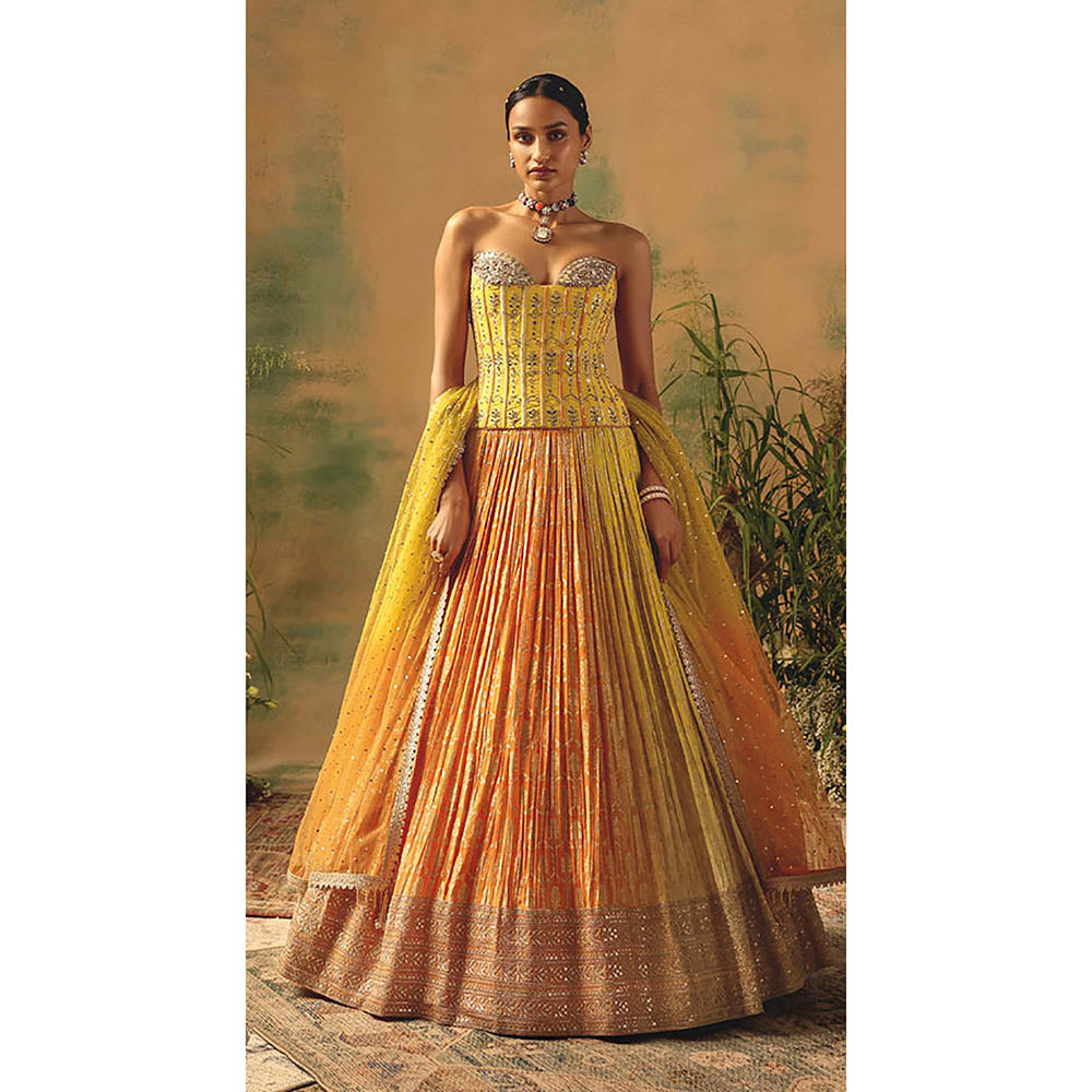 Basanti Kapde aur Koffee The Wild Mariposa Lehenga with Corset Blouse and Dupatta
