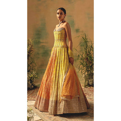 Basanti Kapde aur Koffee The Wild Mariposa Lehenga with Corset Blouse and Dupatta