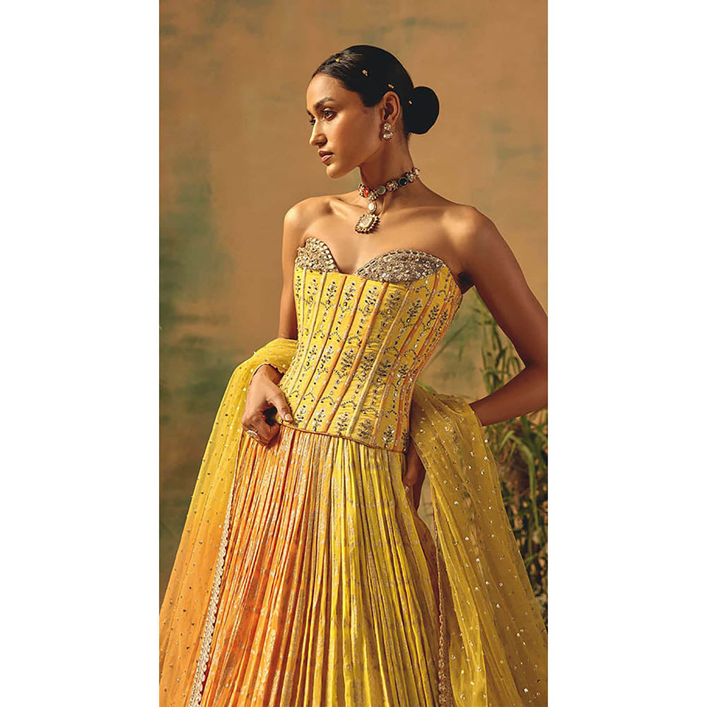 Basanti Kapde aur Koffee The Wild Mariposa Lehenga with Corset Blouse and Dupatta