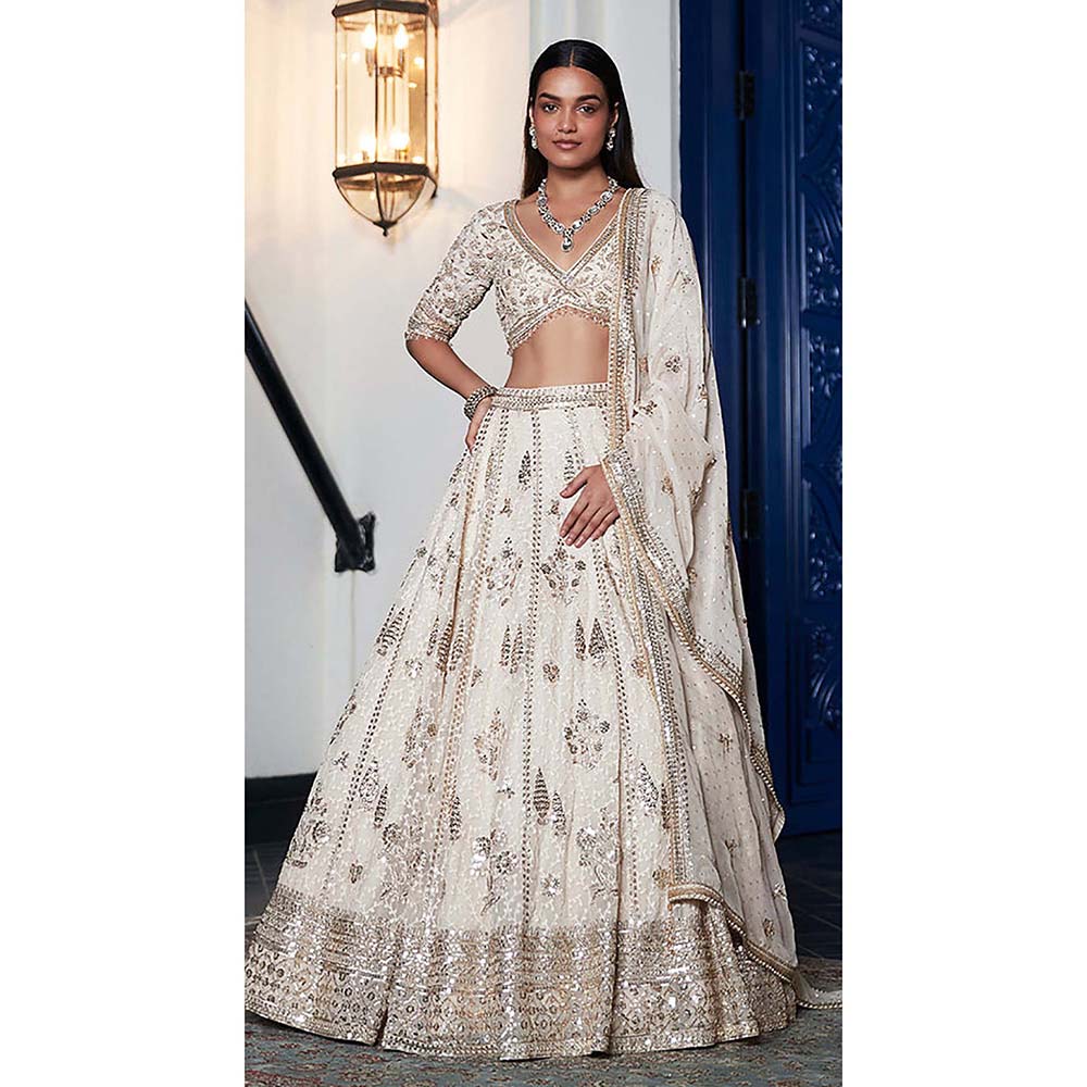 Basanti Kapde aur Koffee Ivory Organza Embroidered Lehenga with Blouse and Dupatta