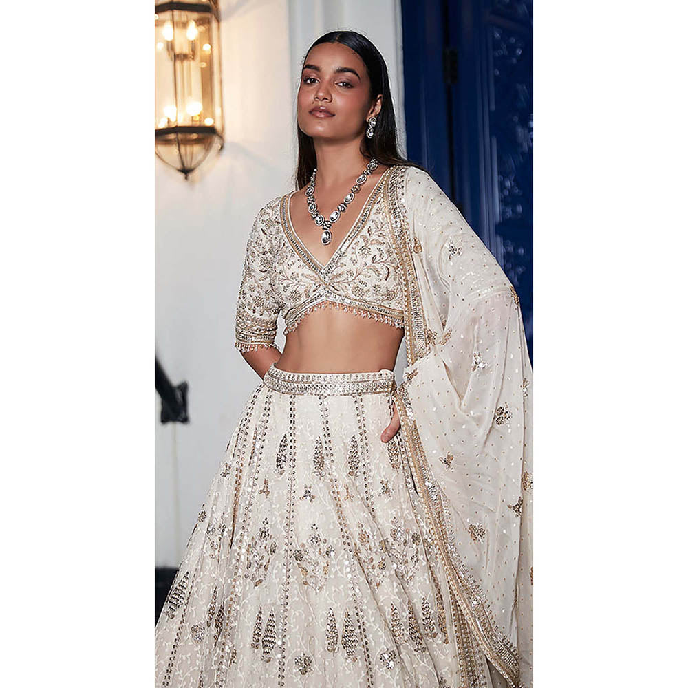 Basanti Kapde aur Koffee Ivory Organza Embroidered Lehenga with Blouse and Dupatta