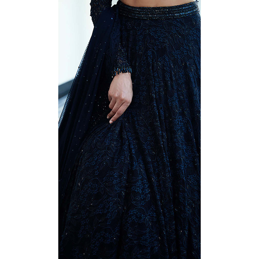 Basanti Kapde aur Koffee Black Chantilly Net Embroidered Lehenga with Blouse and Dupatta