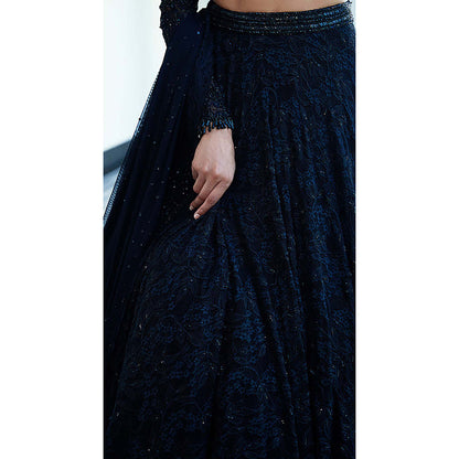 Basanti Kapde aur Koffee Black Chantilly Net Embroidered Lehenga with Blouse and Dupatta