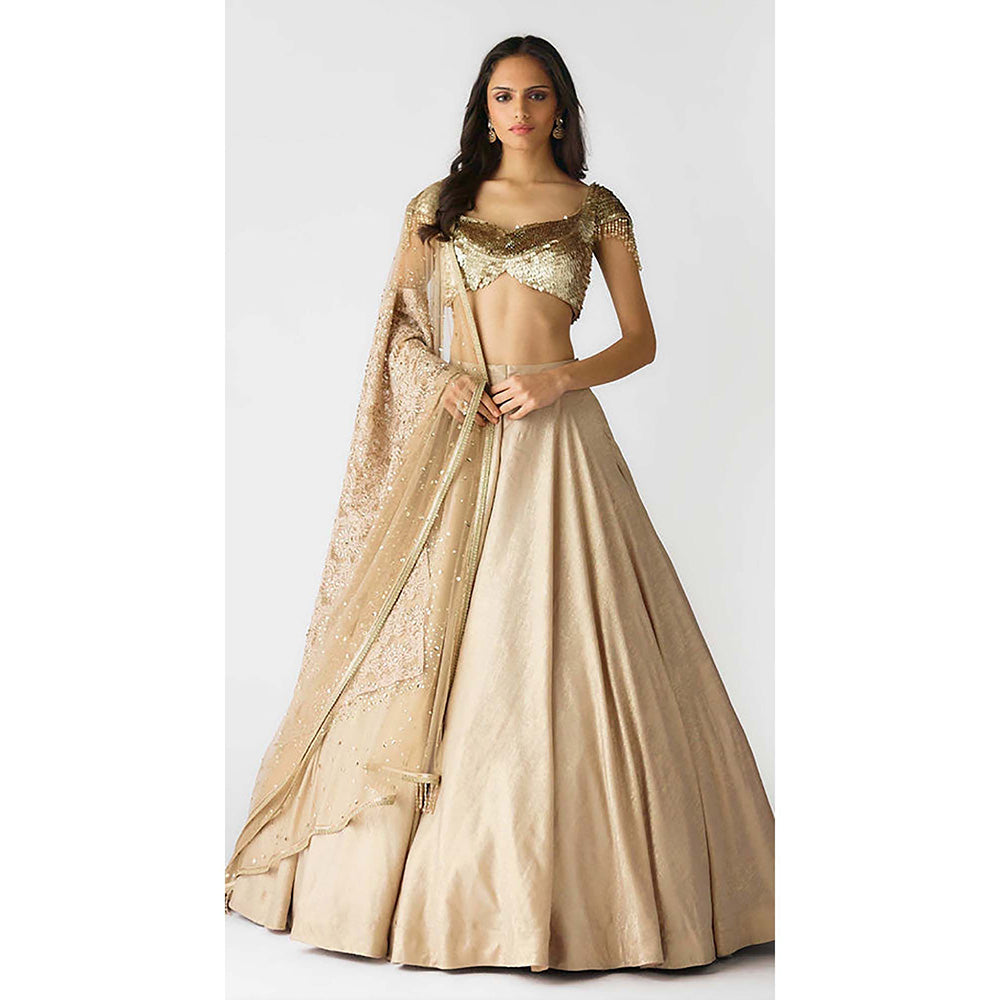 Basanti Kapde aur Koffee The Celestial Glow Lehenga with Blouse and Dupatta