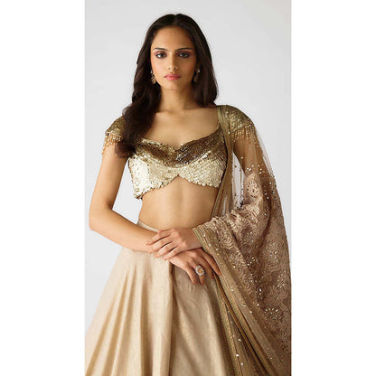 Basanti Kapde aur Koffee The Celestial Glow Lehenga with Blouse and Dupatta