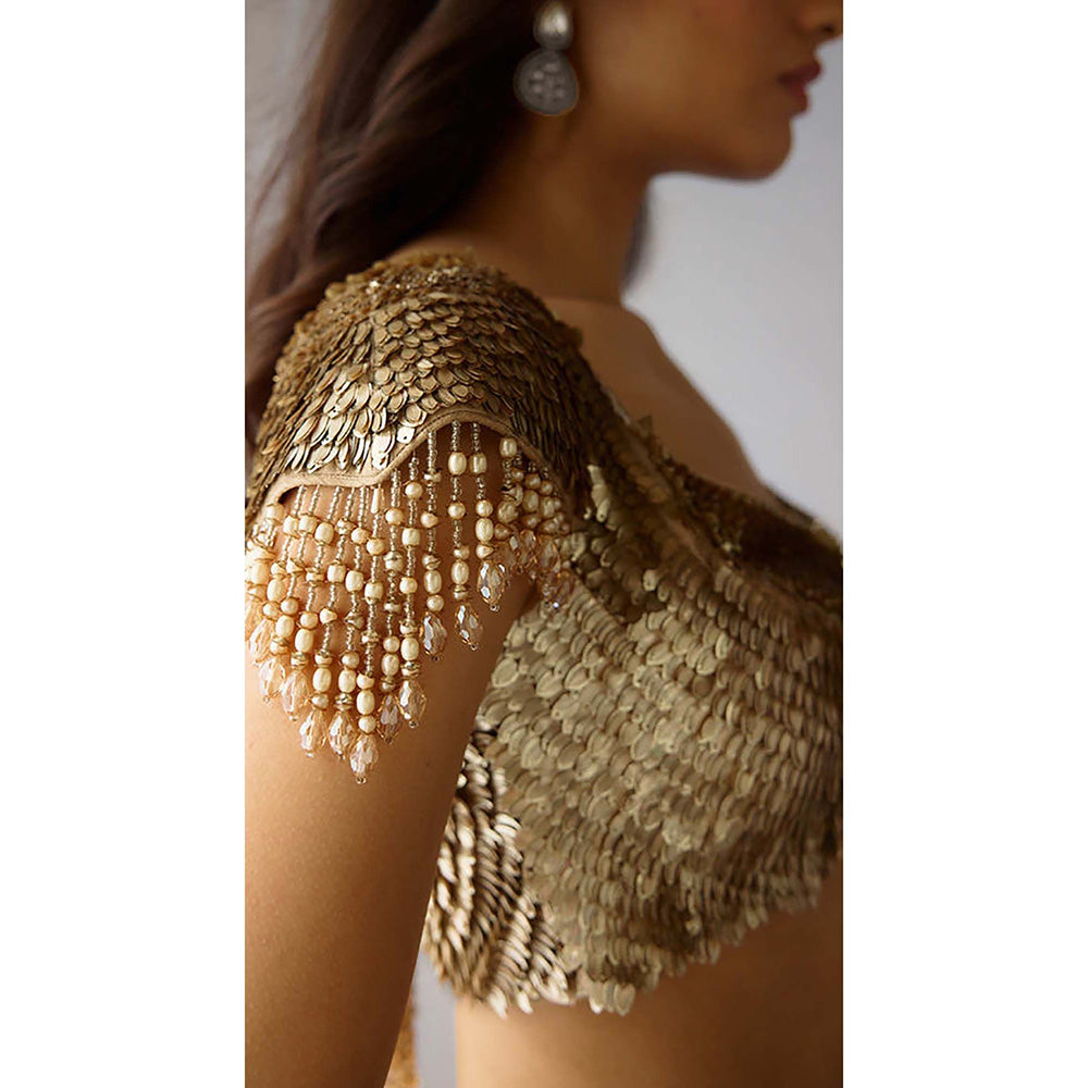 Basanti Kapde aur Koffee The Celestial Glow Lehenga with Blouse and Dupatta