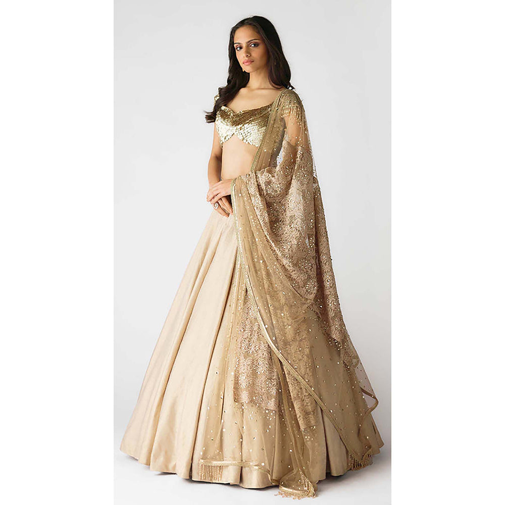 Basanti Kapde aur Koffee The Celestial Glow Lehenga with Blouse and Dupatta