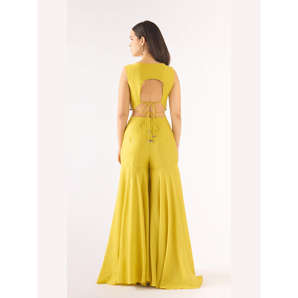 Basanti Kapde aur Koffee Lime Tissue Embellished Cape And Sharara With Bustier