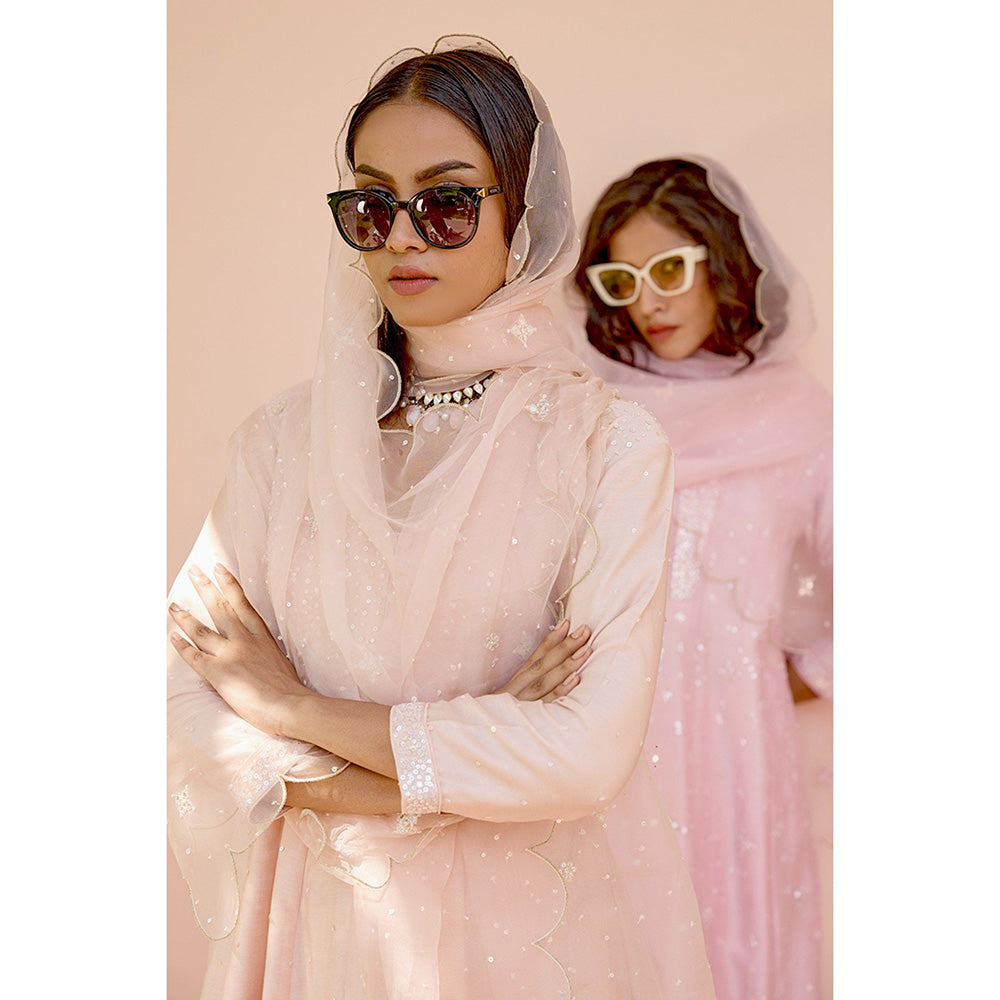 Bbaawri Hand Embroidered Silk Organza Dupatta Peach