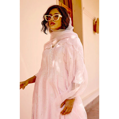 Bbaawri Hand Embroidered Silk Organza Dupatta Pink