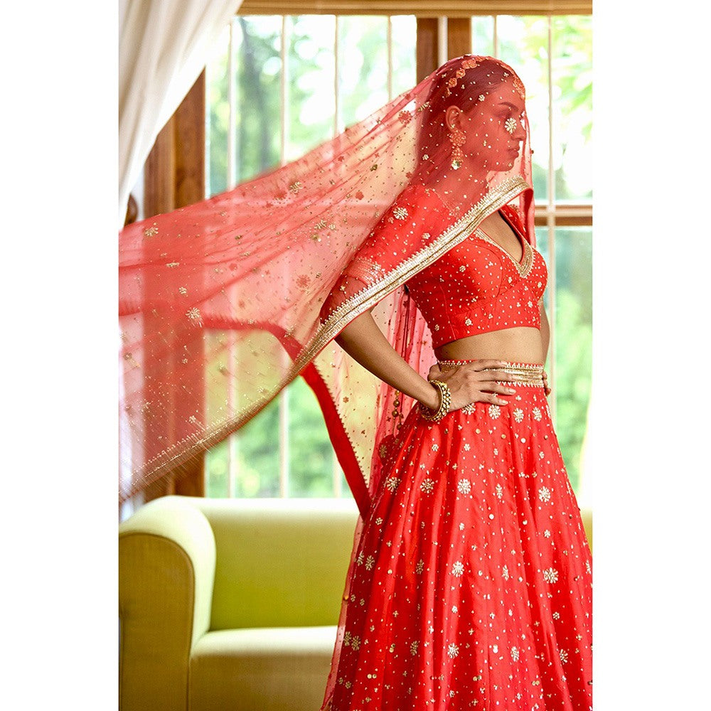 Bbaawri Hand Embroidered Silk Organza Dupatta Red
