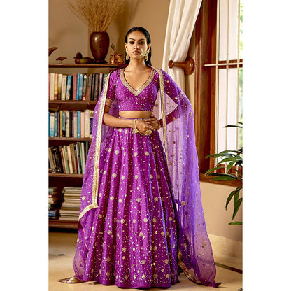 Bbaawri Hand Embroidered Silk Organza Dupatta Purple