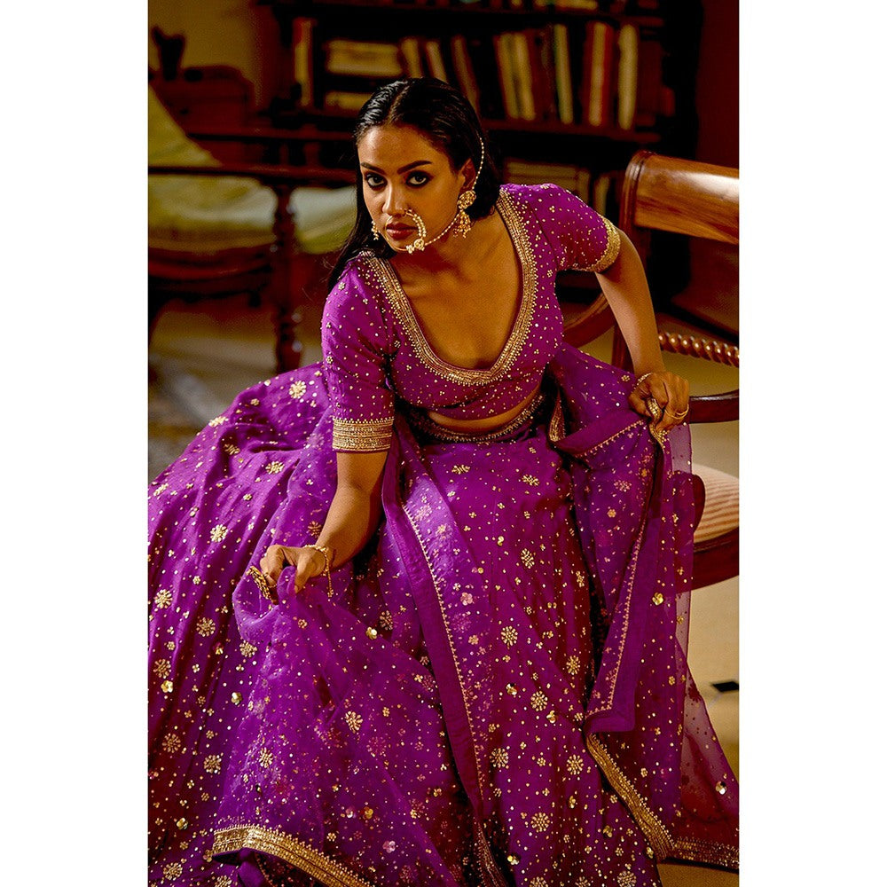 Bbaawri Hand Embroidered Silk Organza Dupatta Purple