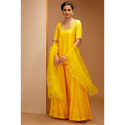 Bbaawri Yellow Color Dupion Silk Hand Embroidered Top with Sharara & Dupatta (Set of 3)