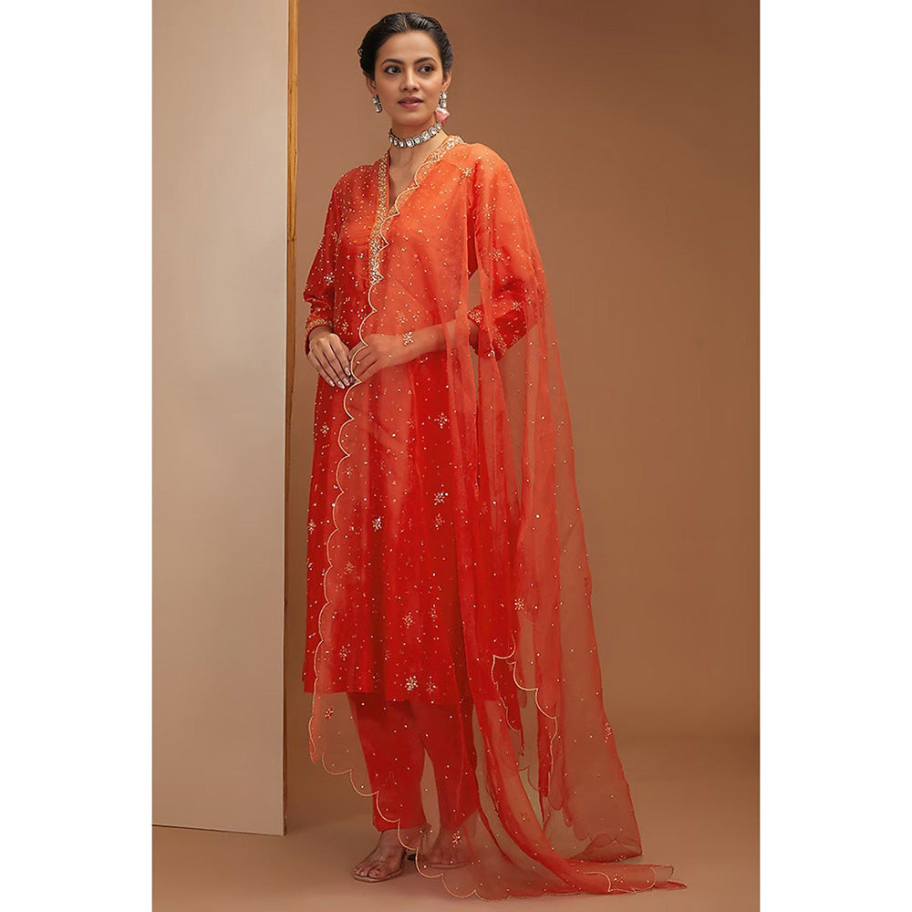Bbaawri Tangy Red Embroidered Kali Kurta with Pant & Dupatta (Set of 3)