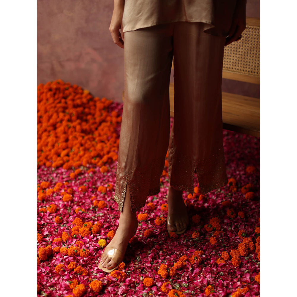 Begum Pret Ishaaira Bronze Co-Ord (Set of 2)