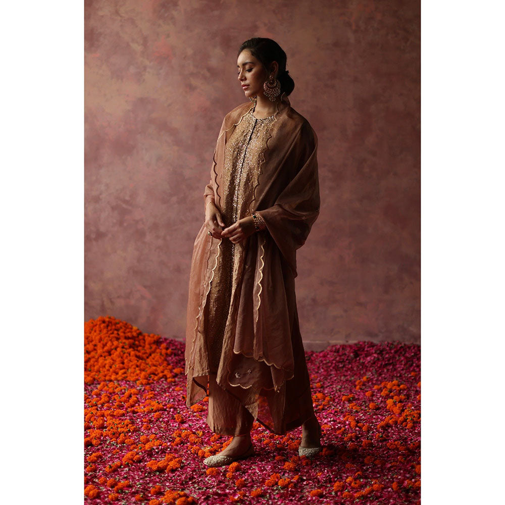 Begum Pret Paakizah Brown Kurta (Set of 4)