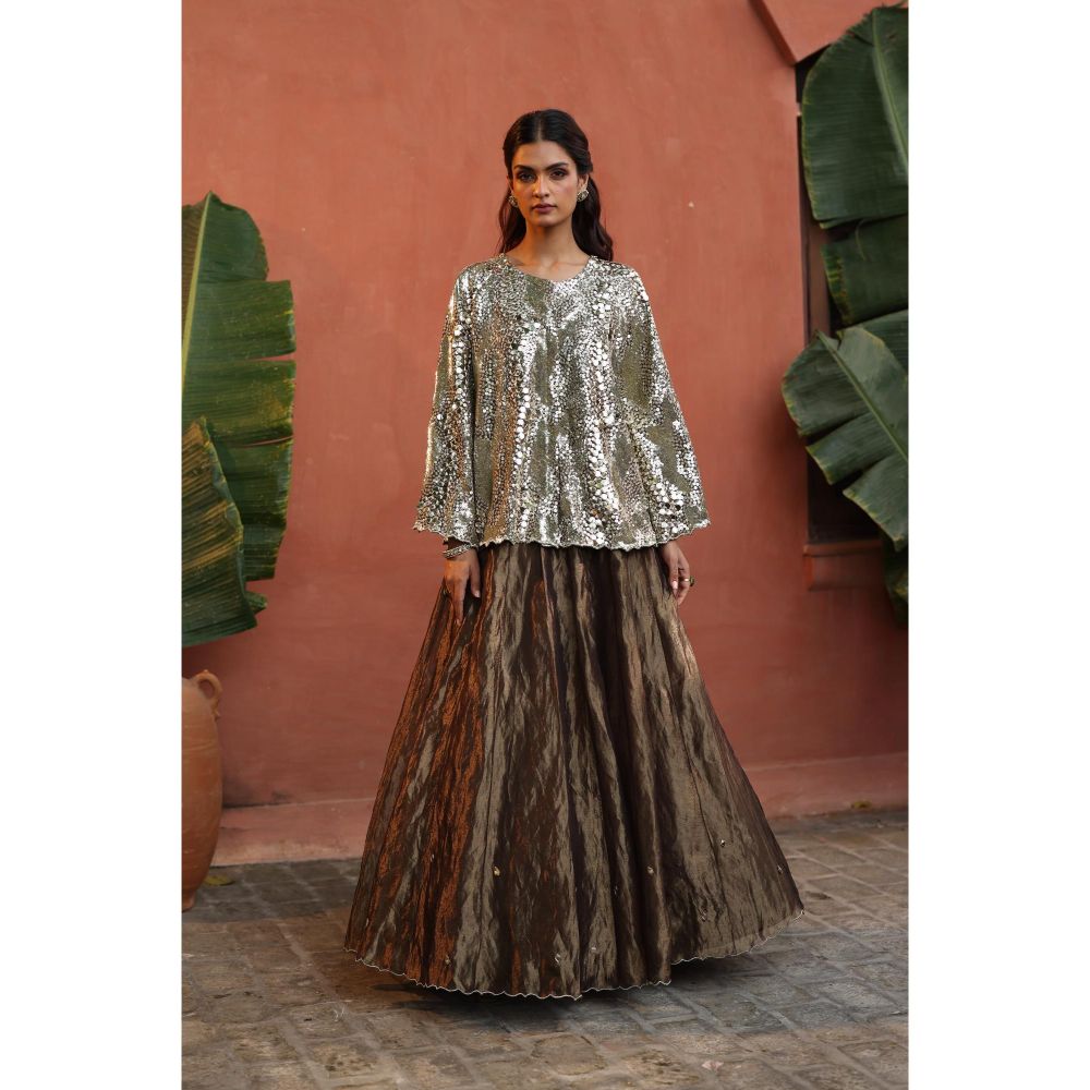 Begum Pret Silver Zohra Skirt with Top (Set of 2)