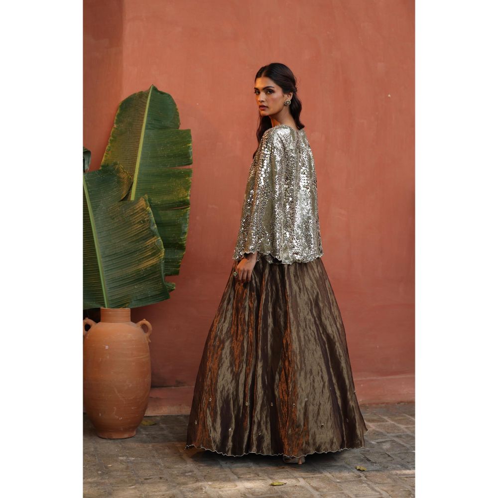 Begum Pret Silver Zohra Skirt with Top (Set of 2)