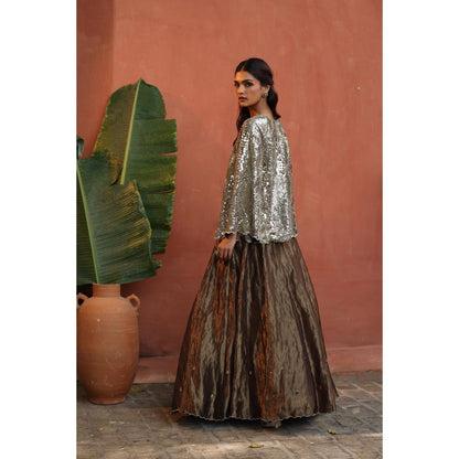 Begum Pret Silver Zohra Skirt with Top (Set of 2)