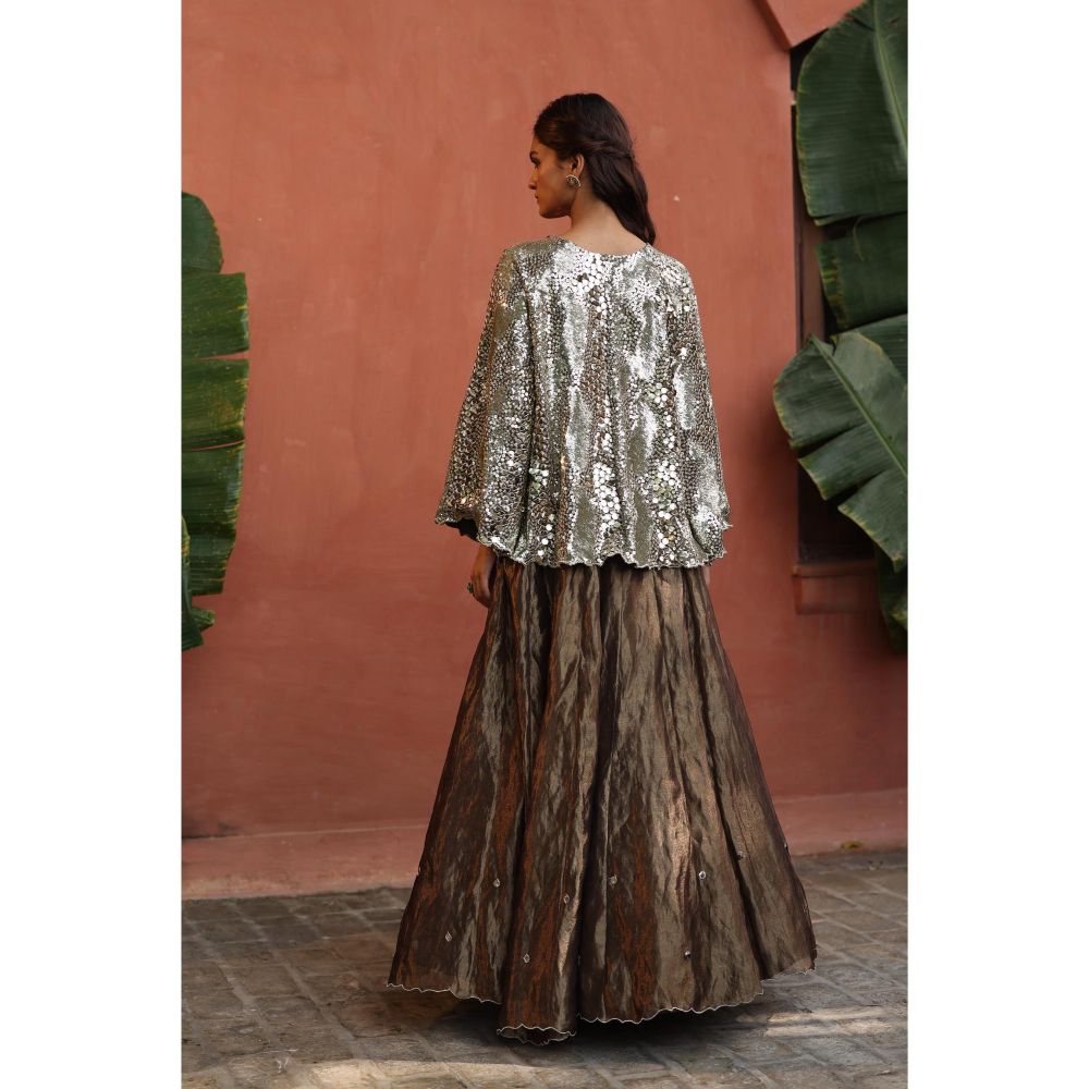 Begum Pret Silver Zohra Skirt with Top (Set of 2)