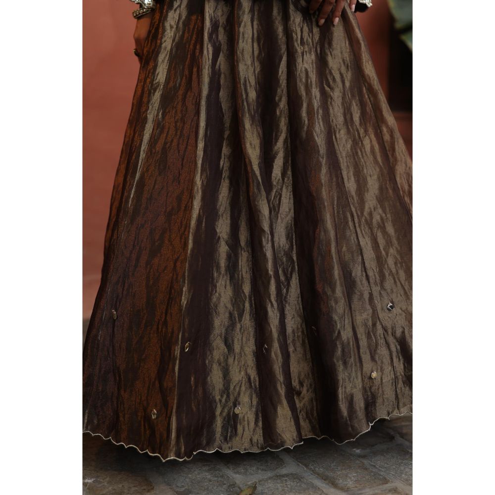 Begum Pret Silver Zohra Skirt with Top (Set of 2)