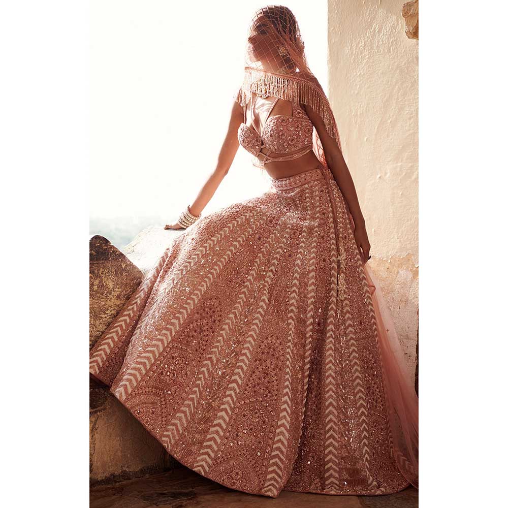 Jigar and Nikita Pale Pink Bridal Blouse and Lehenga with Dupatta (Set of 3)