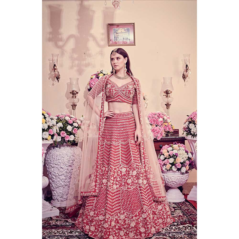 Jigar and Nikita Cranberry Red Blouse and Lehenga with Dupatta (Set of 3)
