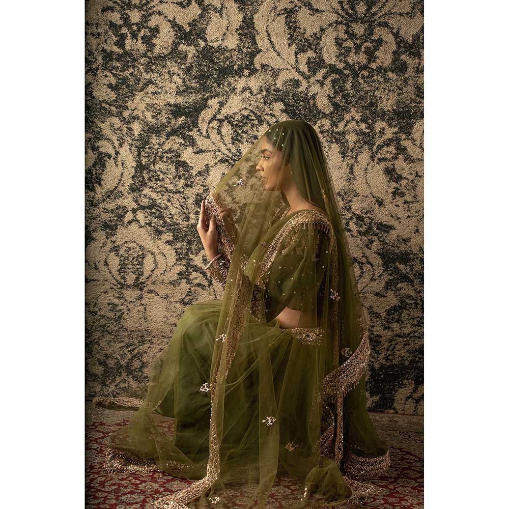 Jigar and Nikita Olive Saree With Stitched Blouse And Petticoat