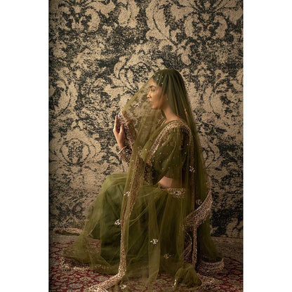 Jigar and Nikita Olive Saree With Stitched Blouse And Petticoat