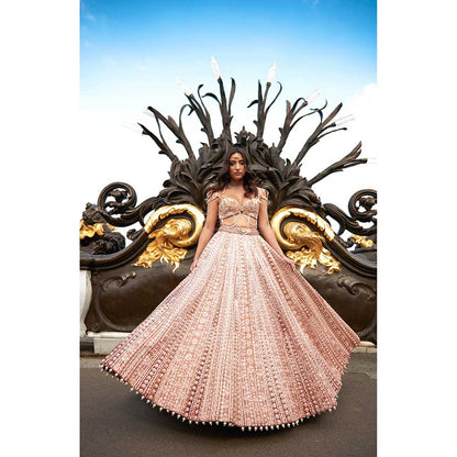 Jigar and Nikita Brown Lehenga with Blouse and Dupatta (Set of 3)