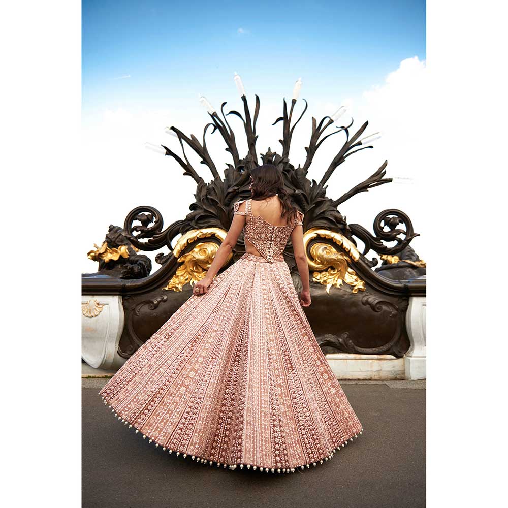 Jigar and Nikita Brown Lehenga with Blouse and Dupatta (Set of 3)