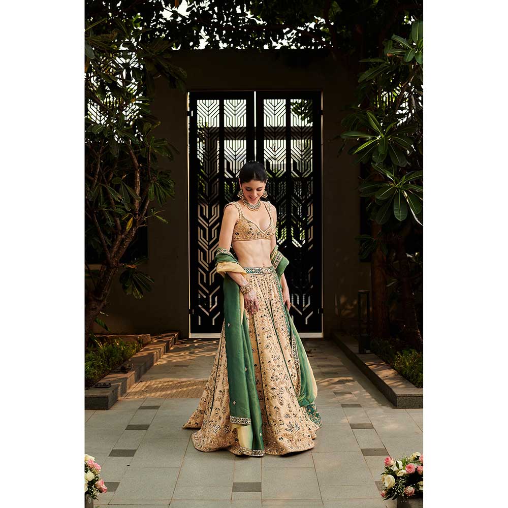 Jigar and Nikita Beige Hitched Lehenga with Blouse and Dupatta (Set of 3)
