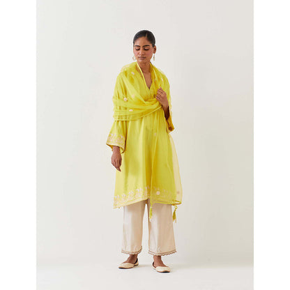 BRIH Lime Green Embroidered Dupatta