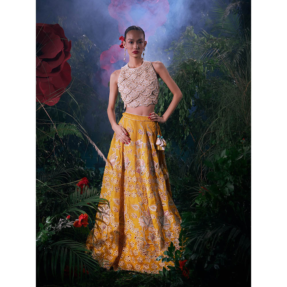 CHANDRIMA Ivory Chanderi Embroidered Sleeveless Crew Neck Bead Work Crop Top