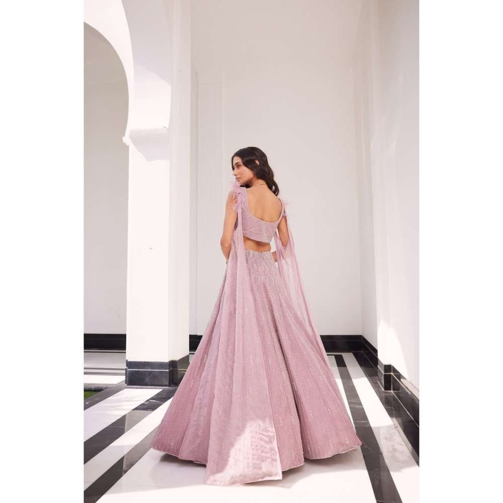 CHARU AND VASUNDHARA Esme Pink Classic Lehenga with Blouse (Set of 2)