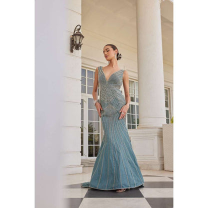 CHARU AND VASUNDHARA Sirius Salmon Blue Gown