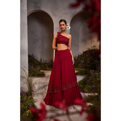 CHARU AND VASUNDHARA Lyla Maroon Ethnic Skirts (Set of 2)