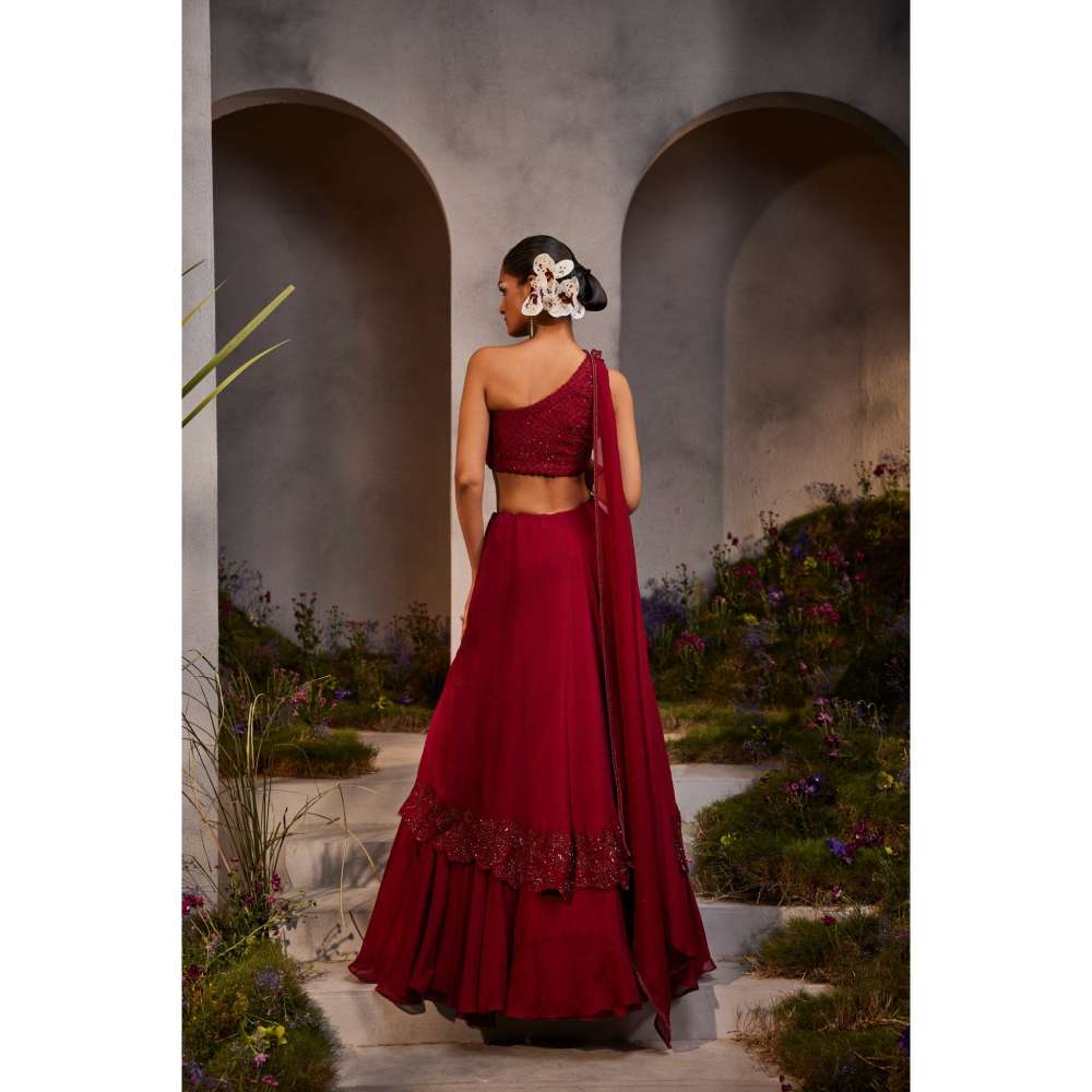 CHARU AND VASUNDHARA Lyla Maroon Ethnic Skirts (Set of 2)