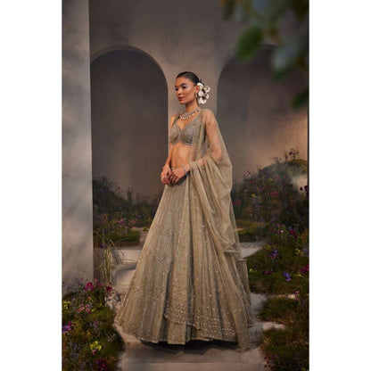 CHARU AND VASUNDHARA Lily Silver Grey Classic Lehenga with Blouse & Dupatta (Set of 3)