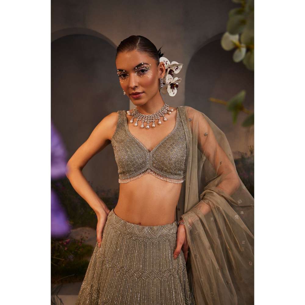 CHARU AND VASUNDHARA Lily Silver Grey Classic Lehenga with Blouse & Dupatta (Set of 3)