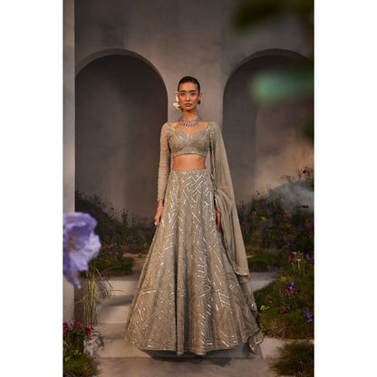 CHARU AND VASUNDHARA Lilian Silver Grey Classic Lehenga with Blouse & Dupatta (Set of 3)