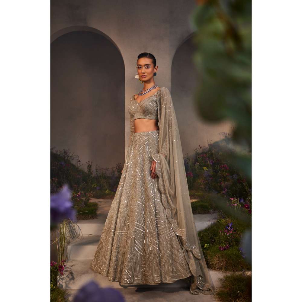 CHARU AND VASUNDHARA Lilian Silver Grey Classic Lehenga with Blouse & Dupatta (Set of 3)