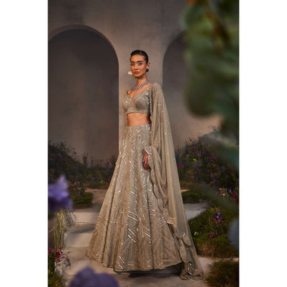 CHARU AND VASUNDHARA Lilian Silver Grey Classic Lehenga with Blouse & Dupatta (Set of 3)