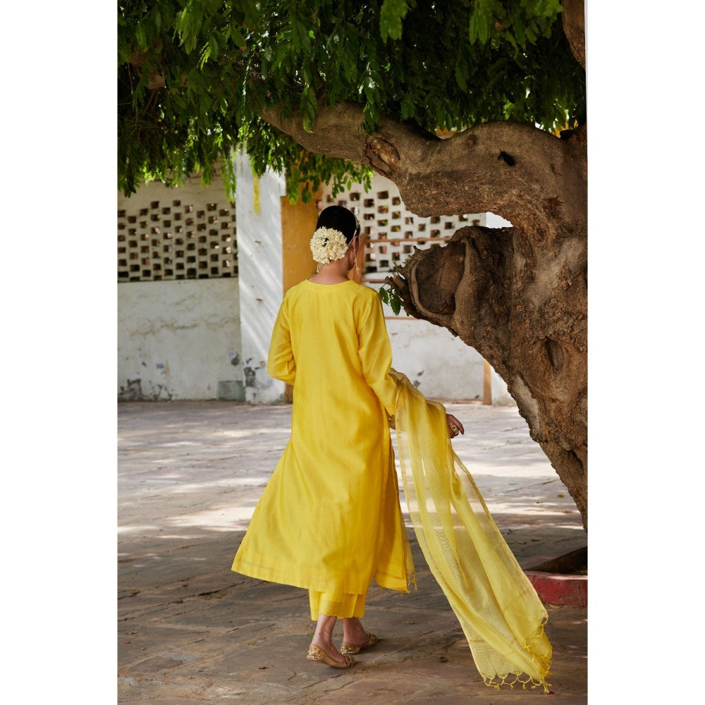 CHARU MAKKAR Yellow Kurta with Palazzo & Dupatta (Set of 3)