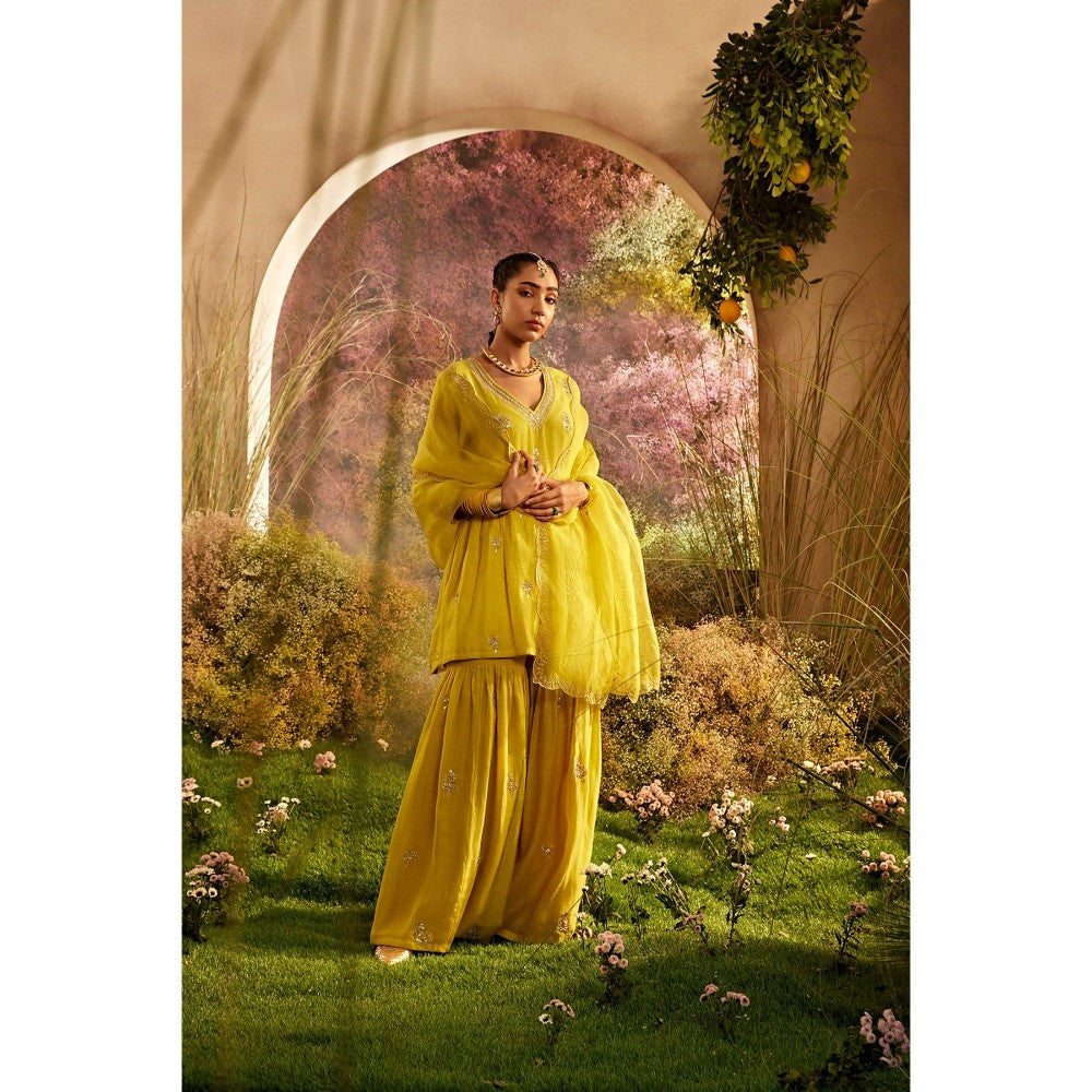 CHARU MAKKAR Mustard Kurti with Sharara & Dupatta (Set of 3)
